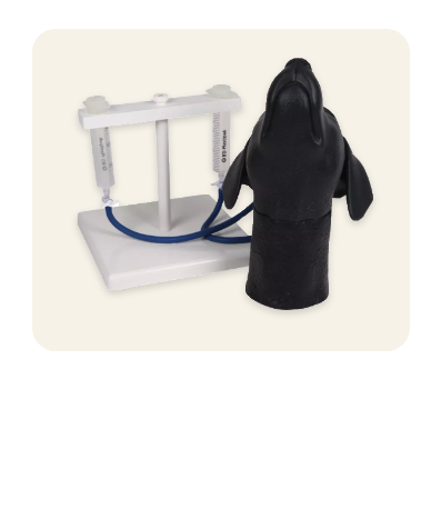 Canine Jugular Venipuncture Training Head