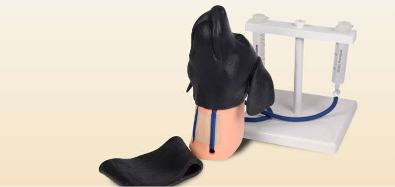 Veterinary education